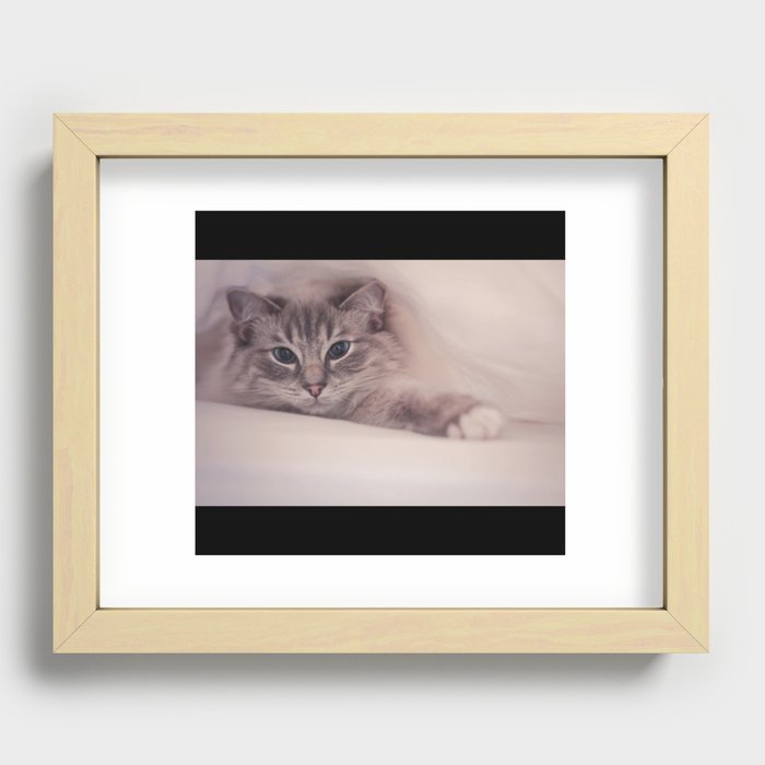 Cat Under The Covers Recessed Framed Print