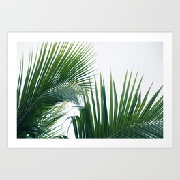 Lush Caribbean Palms #8 #tropical #palms #wall #art #society6 Art Print