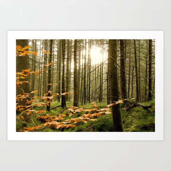 Morning Shines Through Art Print