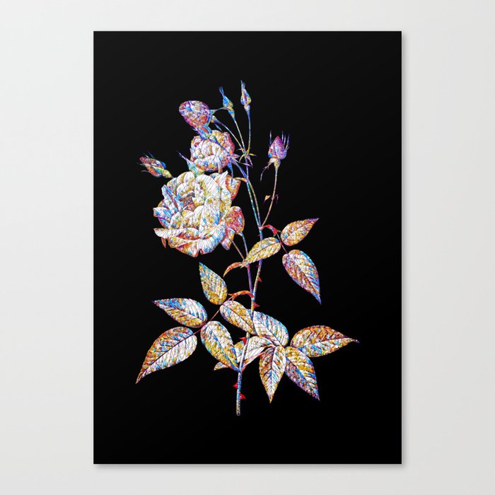 Floral Common Rose of India Mosaic on Black Canvas Print
