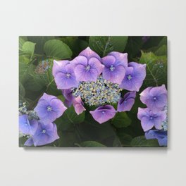 Purple Posy Perfection Metal Print | Nature, Purpleflowers, Lavendar, Summerblooms, Scenic, Oregon, Colorphoto, Photo, Purple, Beauty 