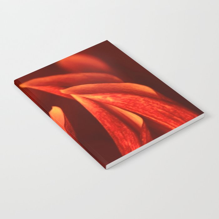 Dahlia red macro 286 Notebook