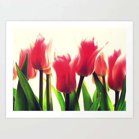 Tulips Art Print