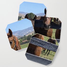 Horse Profiles Coaster
