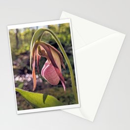 Lady Slipper Orchid Nature Photography | Botanical | Plants Art Print Stationery Card