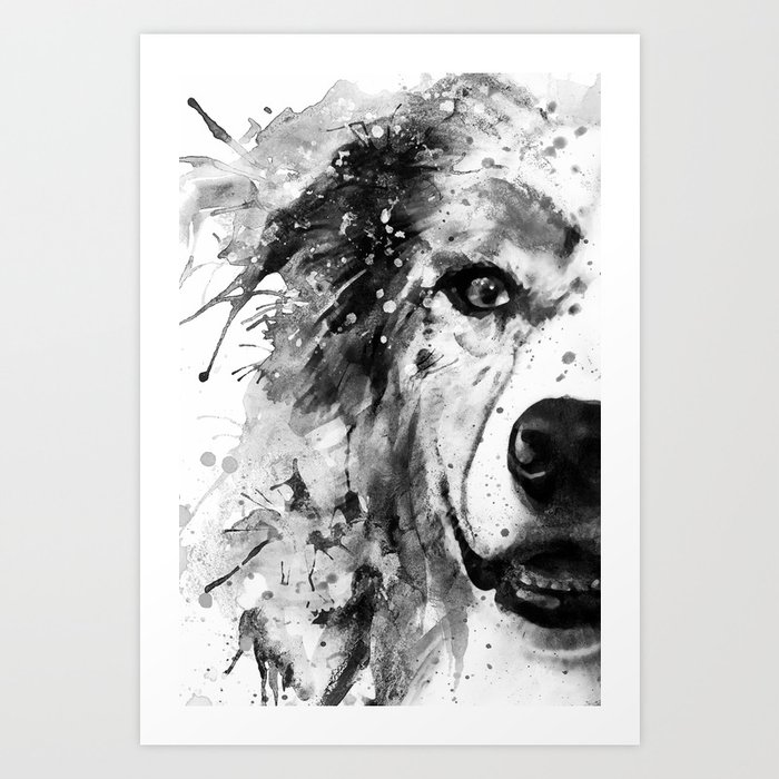 Australian Shepherd Dog Half Face Portrait Art Print By Marianvoicu Society6 Australian Shepherd Dog Half Face Portrait Art Print By Marianvoicu Society6