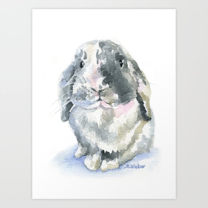 Gray and White Lop Rabbit Art Print