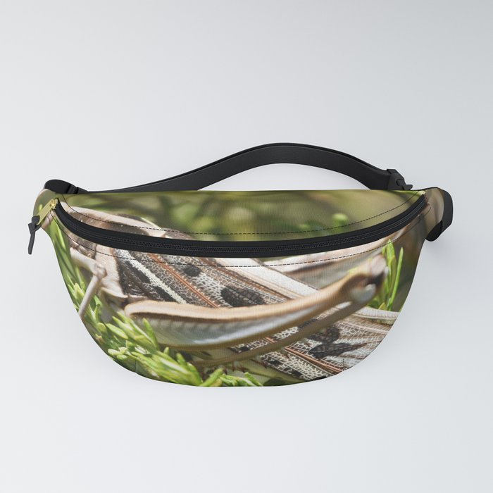 South Africa Photography - Insect In The Wilderness Fanny Pack