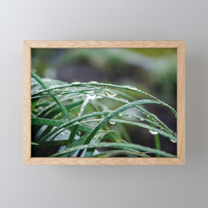 Waterty Grass Framed Mini Art Print