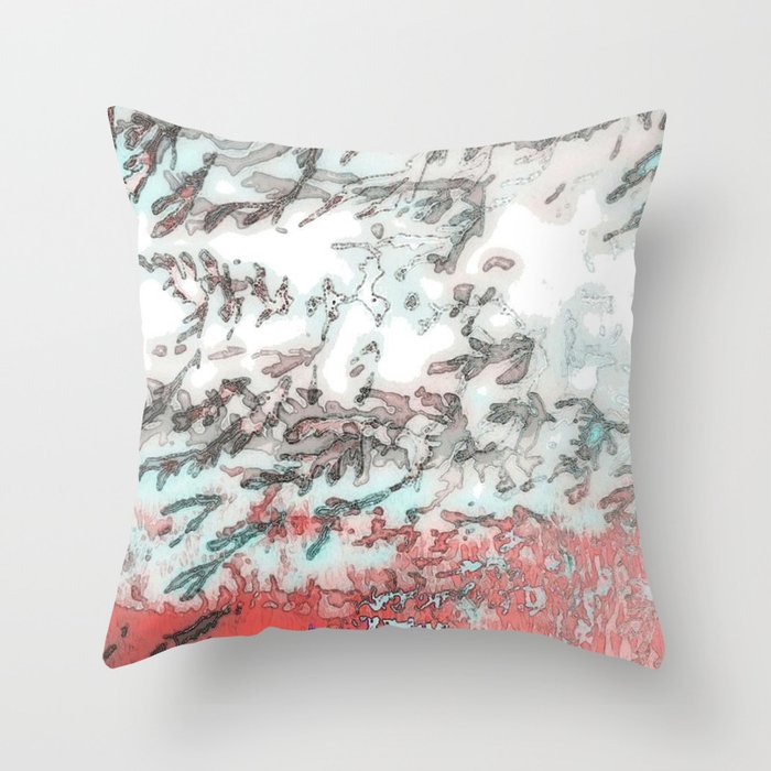 red and teal throw pillows