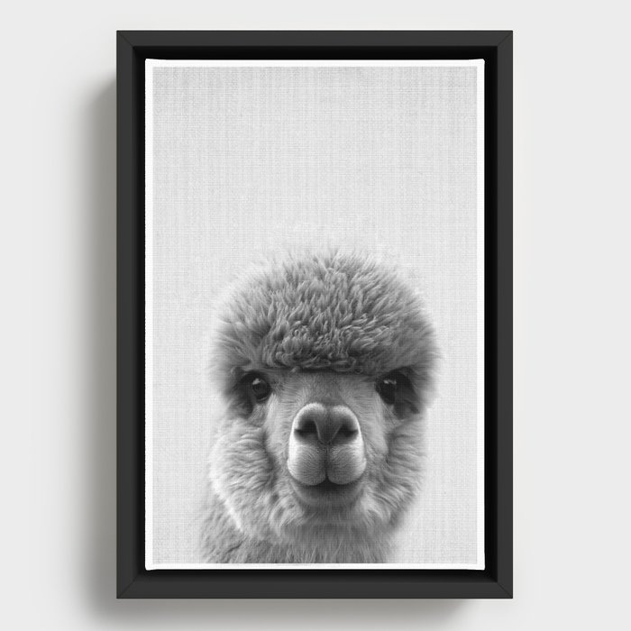 Framed Canvas