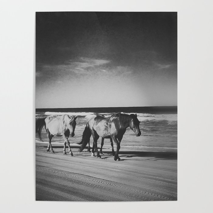 horses on the beach Poster