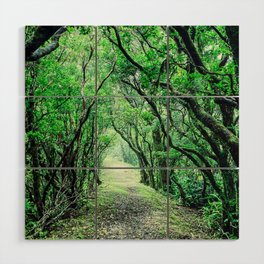 Enchanted forest path Wood Wall Art
