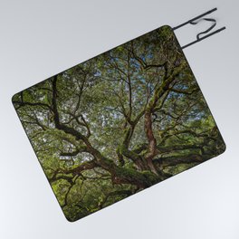 The Angel Oak Tree Charleston South Carolina Picnic Blanket