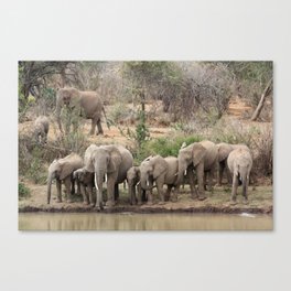Elephants on the riverbank Canvas Print