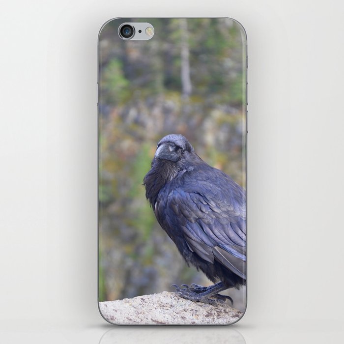 Quoth the Raven iPhone Skin