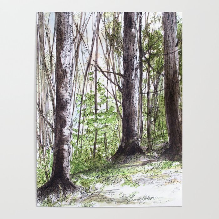 Woodland Trees in Vermont Illustration Nature Art Poster