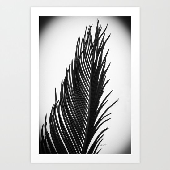 Palm: The Abstract in Black Art Print