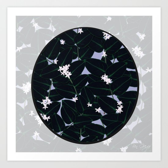 Night Blooming Art Print