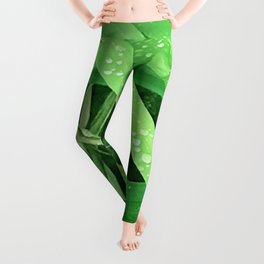 Grass Blades With Raindrops Close-up Art Photo Leggings