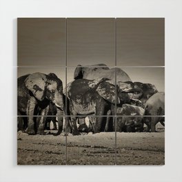 Elephant Herd Circling II Wood Wall Art