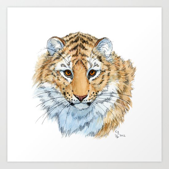 Young Sweet Tiger Art Print
