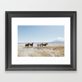 Colorado Wilds Framed Art Print