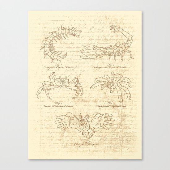 Manus Creatura Canvas Print