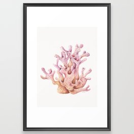 Coral | Watercolor Framed Art Print