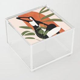 Abstract Female Figure 20 Acrylic Box