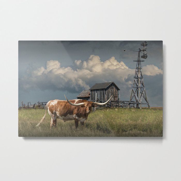 Longhorn Steer in a Prairie pasture by 1880 Town with Windmill and Old Gray Wooden Barn Metal Print