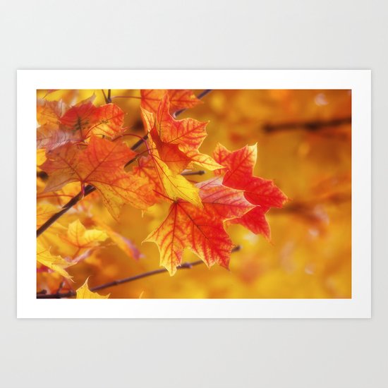 Colorful Leaves Art Print