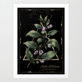 Belladonna. Deadly nightshade. Magic herbs  Art Print