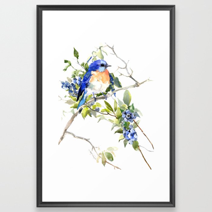 Bluebird and Blueberry Framed Art Print