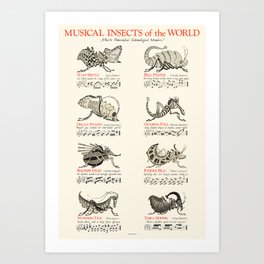 MUSICAL INSECTS OF THE WORLD Art Print