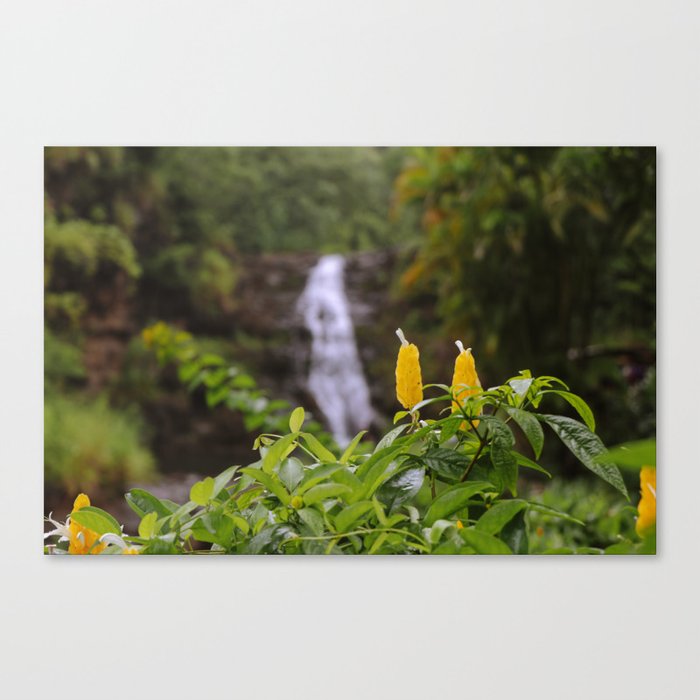 Waimea Falls Canvas Print