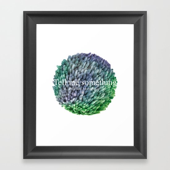 WTF am I looking at? Framed Art Print