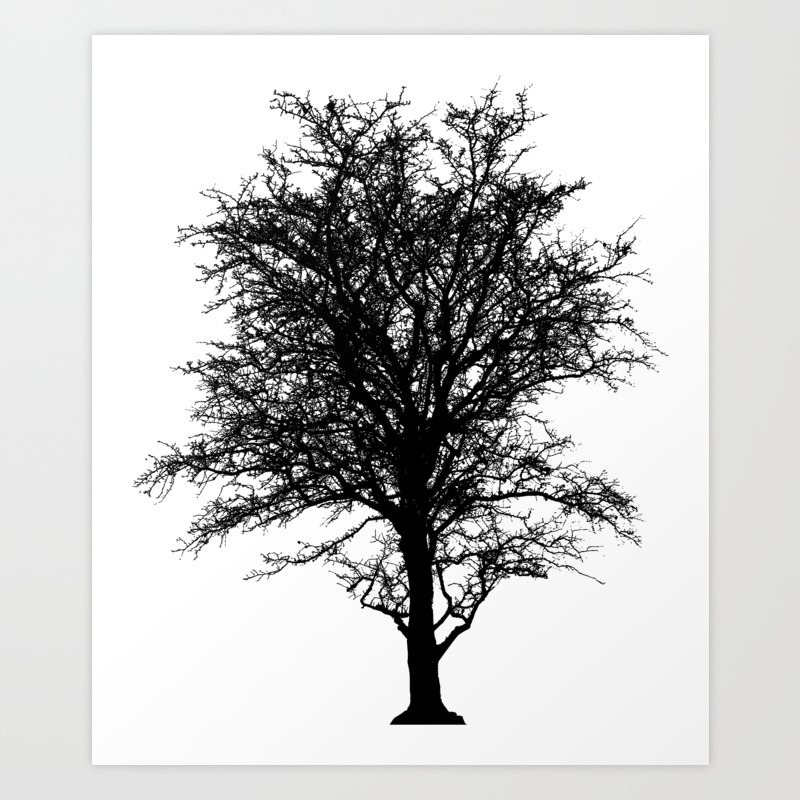 Leafless Tree Art Print By Herbquality Society6