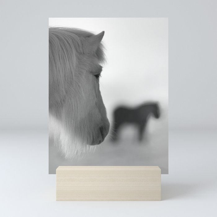 Icelandic Horses Black and White | Horse Silhouette Portrait Mini Art Print