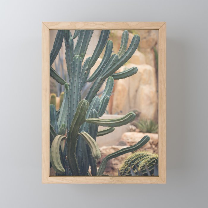 Cactus Jungle II Framed Mini Art Print