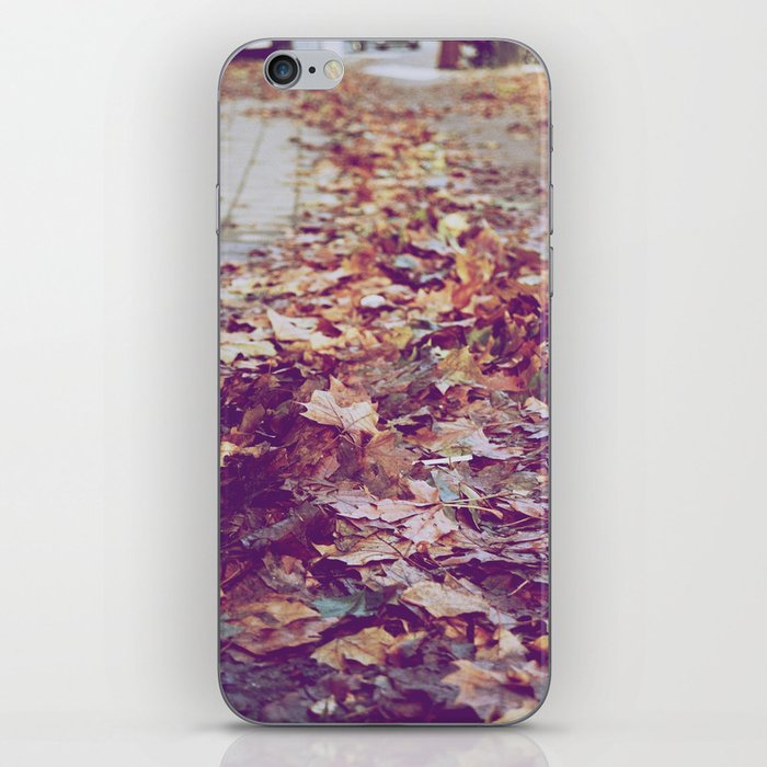 Autumn Path iPhone Skin