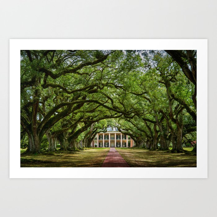 Oak Alley plantation historical site New Orleans USA  Art Print