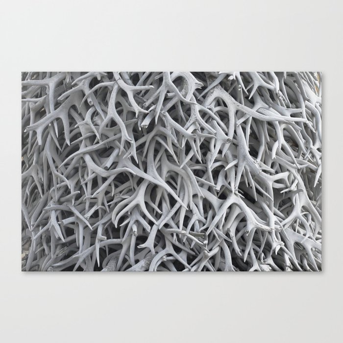 The Lovely Bones Canvas Print