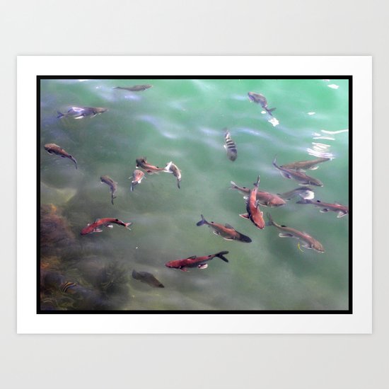 Fish! Art Print