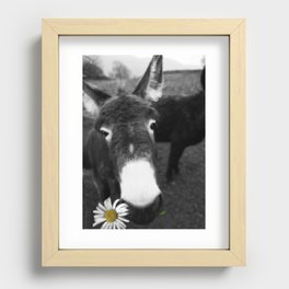 Daisy Donkey Recessed Framed Print