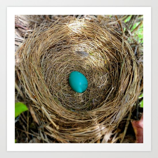 One Little Robin's Egg Art Print