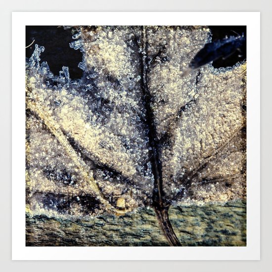 ice crystals Art Print
