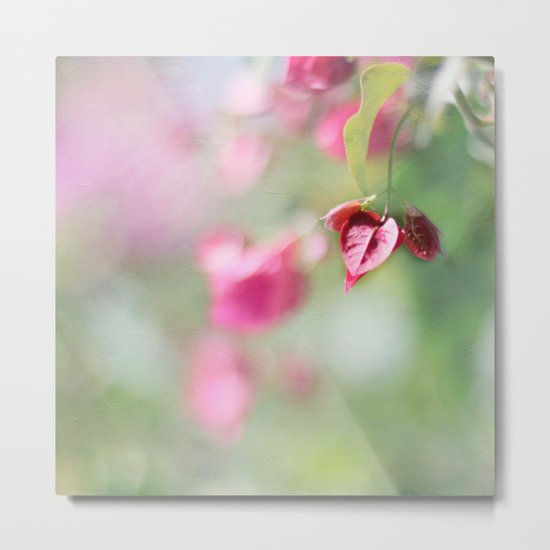 PAINTED BOGANVILLE Metal Print