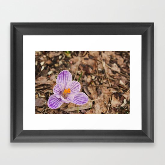 SWANZEY Framed Art Print