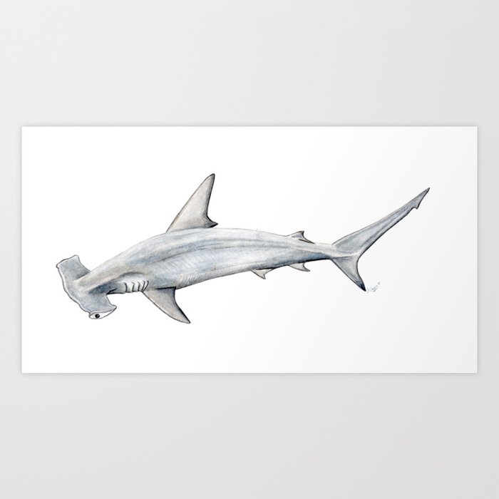Hammerhead shark for shark lovers, divers and fishermen Art Print by Chloe  Yzoard | Society6
